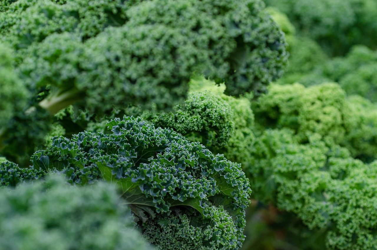 Welche Superfoods sind ihr Geld wirklich wert?